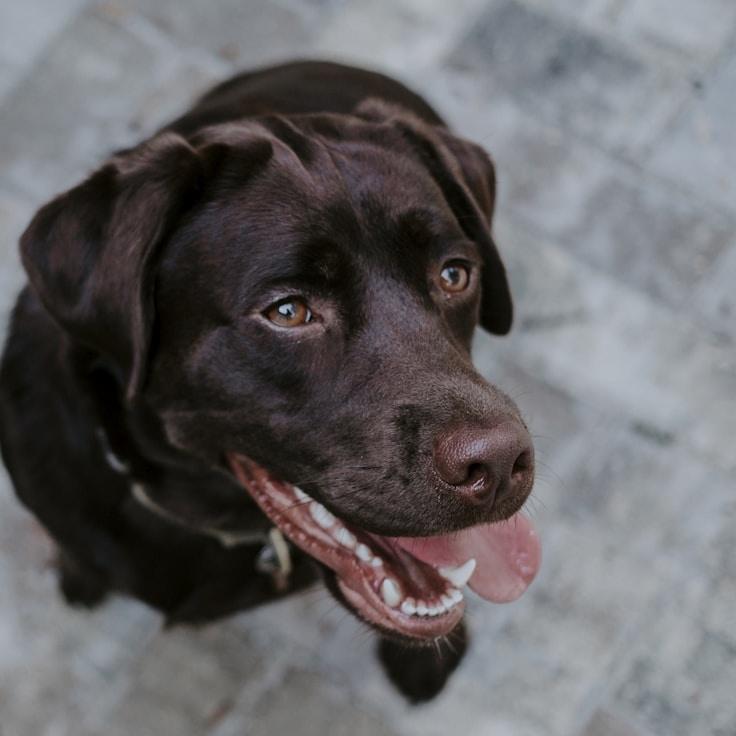 Landscape day trip near Ottawa, Canada